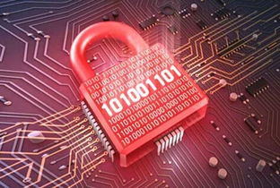 天啦嚕！5億用戶隱私數(shù)據(jù)泄漏事件敲響警鐘，網(wǎng)絡(luò)與信息安全軟件開發(fā)何去何從？